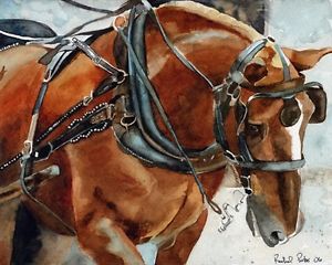 Draft Horse Paintings